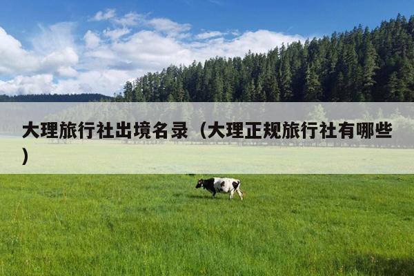 大理旅行社出境名录（大理正规旅行社有哪些）