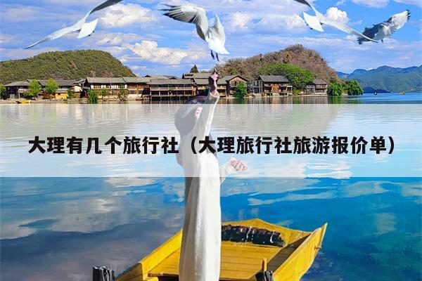 大理有几个旅行社（大理旅行社旅游报价单）