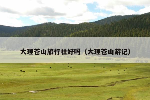 大理苍山旅行社好吗（大理苍山游记）