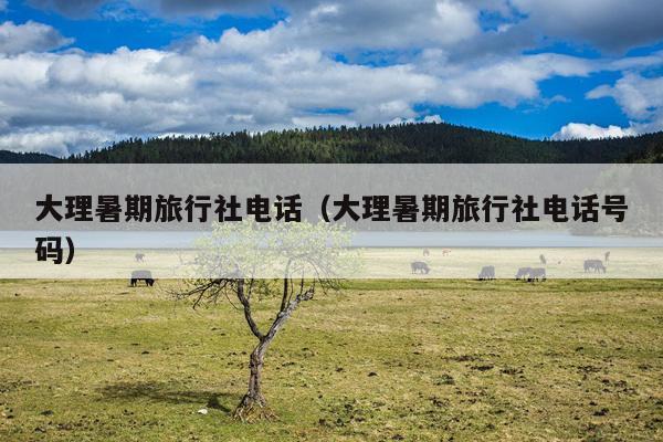 大理暑期旅行社电话（大理暑期旅行社电话号码）