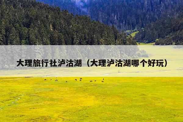 大理旅行社泸沽湖（大理泸沽湖哪个好玩）