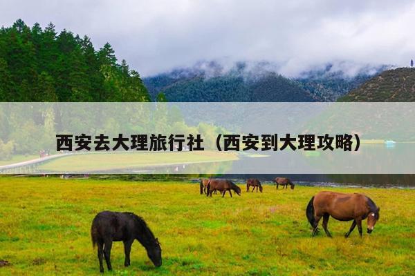 西安去大理旅行社（西安到大理攻略）