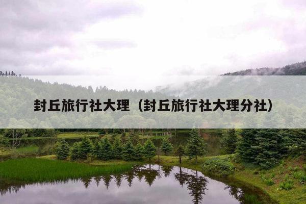 封丘旅行社大理（封丘旅行社大理分社）