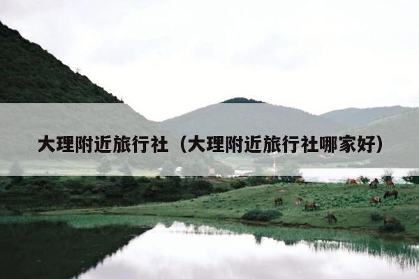 大理附近旅行社（大理附近旅行社哪家好）
