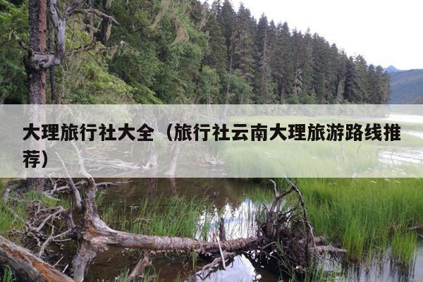 大理旅行社大全（旅行社云南大理旅游路线推荐）