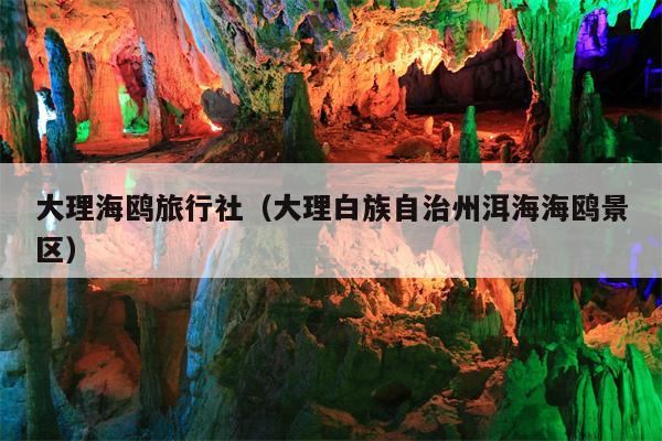 大理海鸥旅行社（大理白族自治州洱海海鸥景区）