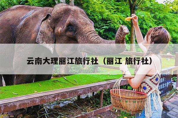 云南大理丽江旅行社（丽江 旅行社）