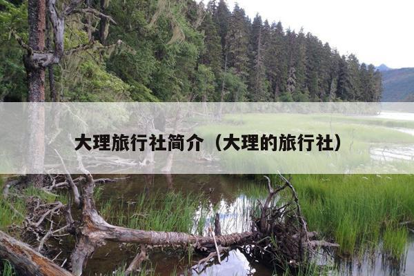 大理旅行社简介（大理的旅行社）