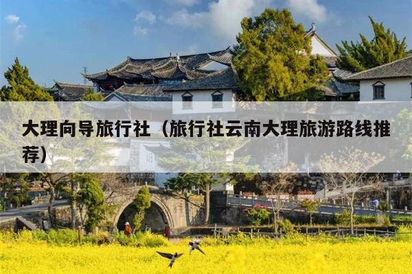 大理向导旅行社（旅行社云南大理旅游路线推荐）