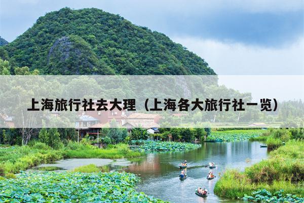 上海旅行社去大理（上海各大旅行社一览）