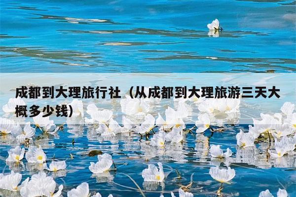 成都到大理旅行社（从成都到大理旅游三天大概多少钱）