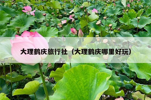 大理鹤庆旅行社（大理鹤庆哪里好玩）