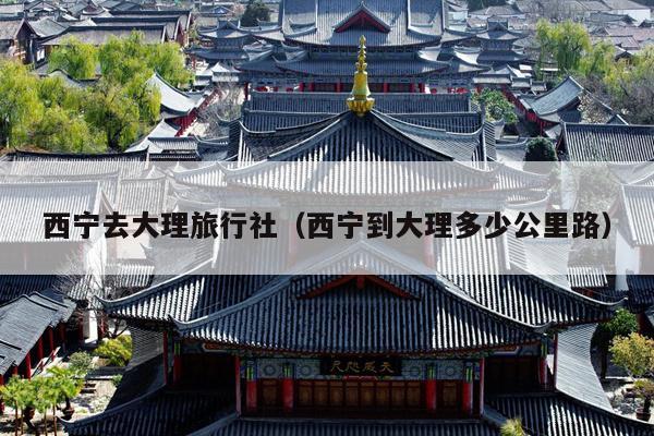 西宁去大理旅行社（西宁到大理多少公里路）