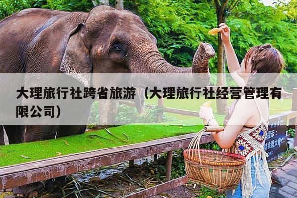 大理旅行社跨省旅游（大理旅行社经营管理有限公司）