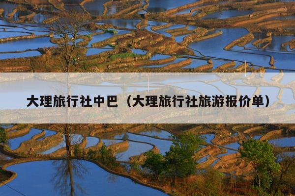 大理旅行社中巴（大理旅行社旅游报价单）