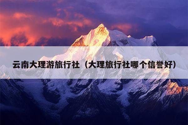 云南大理游旅行社（大理旅行社哪个信誉好）