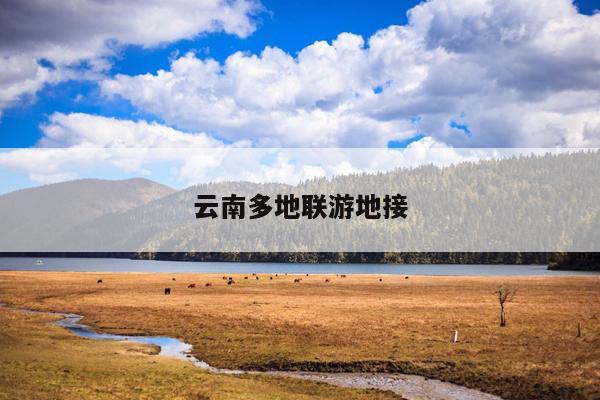 云南多地联游地接